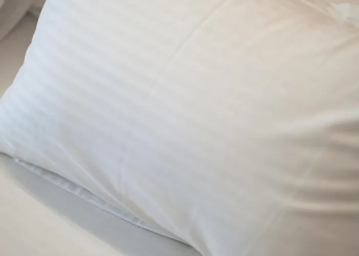 Senior With View Apartmán Eforie Nord